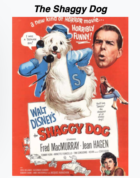 The Shaggy Dog (2006)